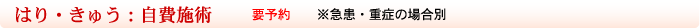 はりきゅう施術